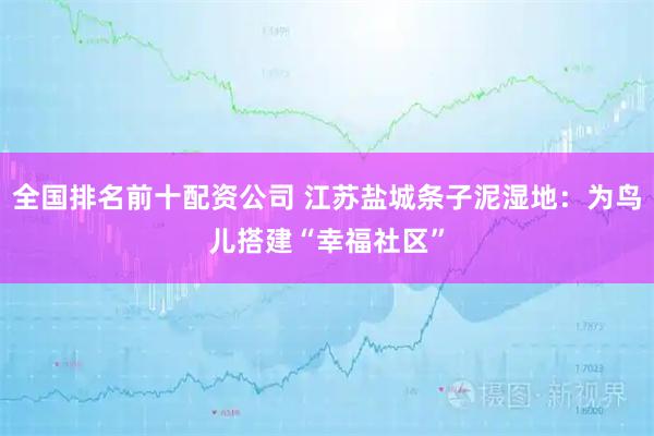 全国排名前十配资公司 江苏盐城条子泥湿地：为鸟儿搭建“幸福社区”